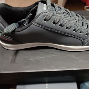 Brand New Men's Sneakers